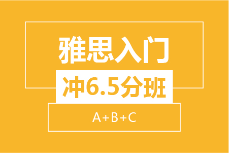 雅思入门冲6.5分8人班（A+B+C）